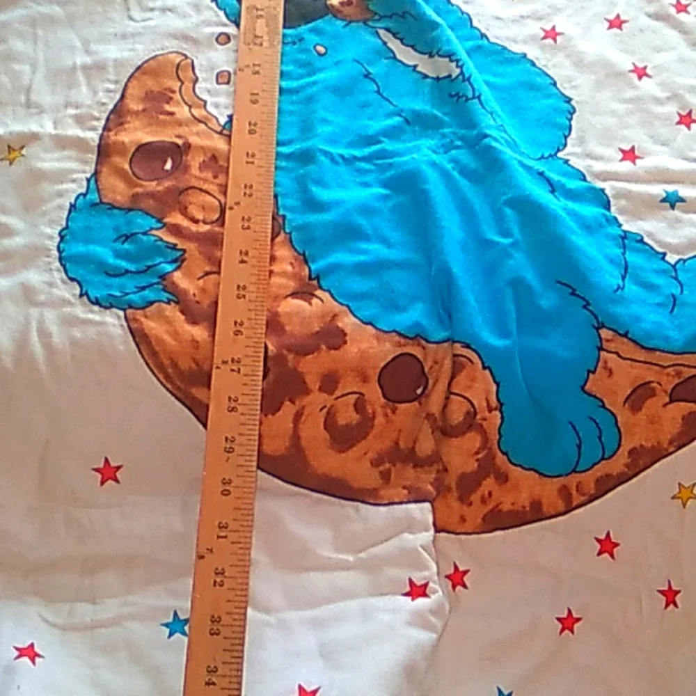 🍪  Cookie Monster FLANNEL BACKING CHILD'S BLANKET Throw 41 X 32 EVC